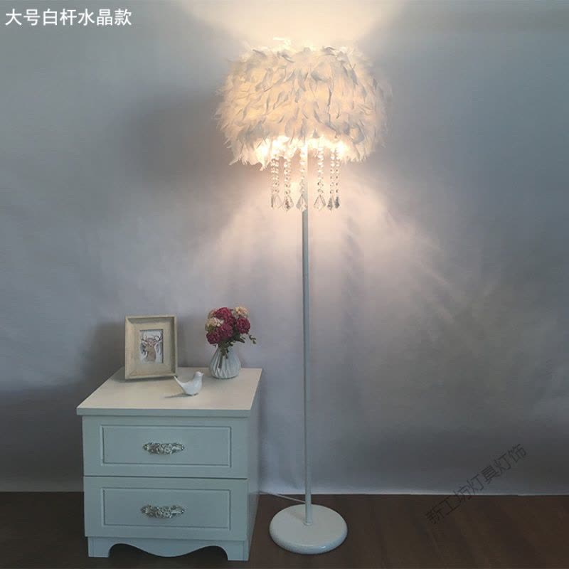 苏宁放心购 落地灯ins风羽毛卧室公主北欧客厅创意立式台灯具灯饰网红床头灯图片