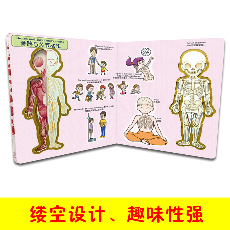 [发现里面·早教双语版]解密身体 [正版]发现里面早教双语版解密身体0-3-6岁儿童早教趣味翻翻书 3D立体少儿科普防疫高清大图