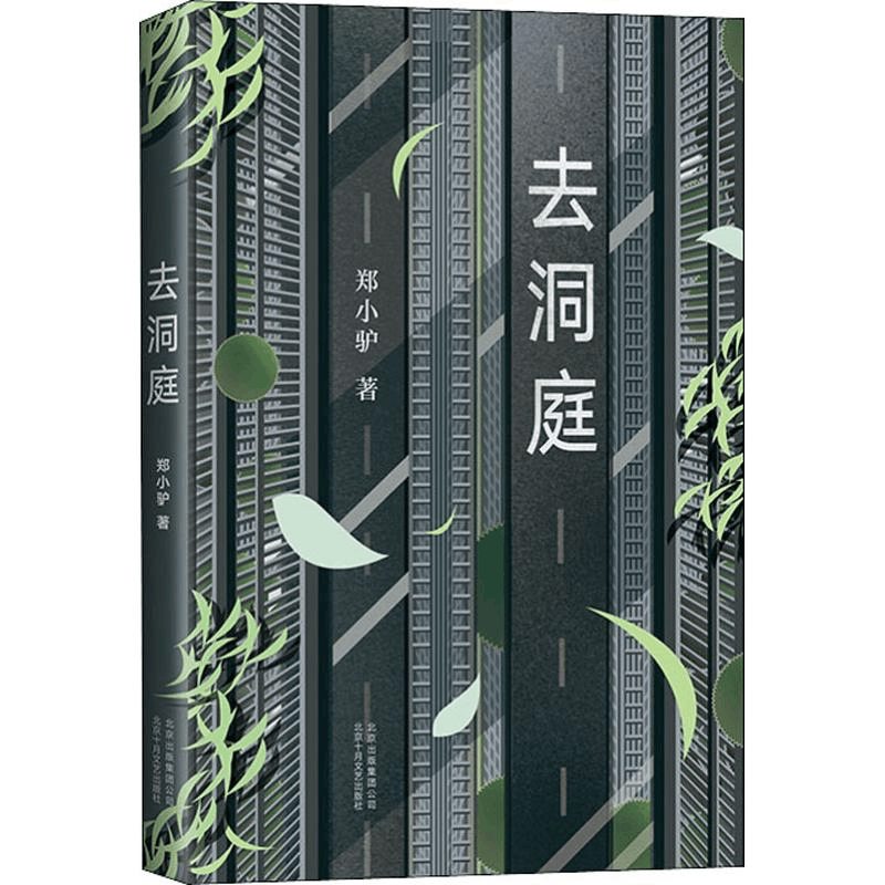 醉染图书去洞庭9787530218914图片