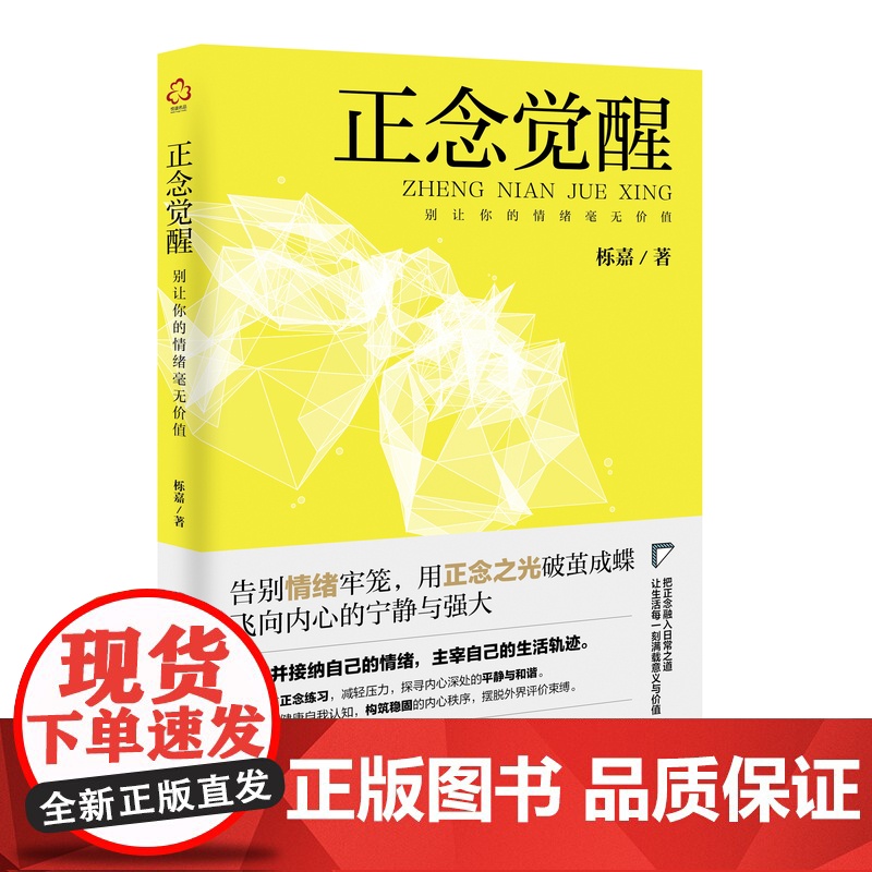 正念觉醒 别让你的情绪毫无价值 正念练习和技巧 改善情绪管理 提升生活质量 成人情绪稳定养成书记 管理情绪 提升自我 内高清大图