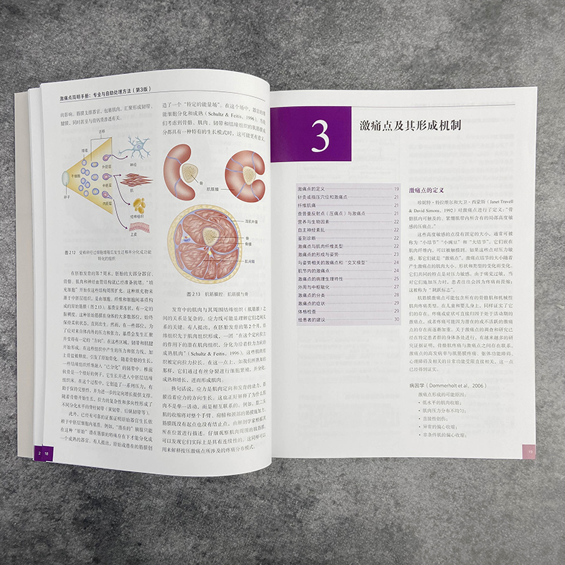 [正版]《激痛点简明手册:专业与自助处理方法(第3版)》本书以简明参考书的模式设计,附以大量图绘,方便快速翻阅、参考高清大图
