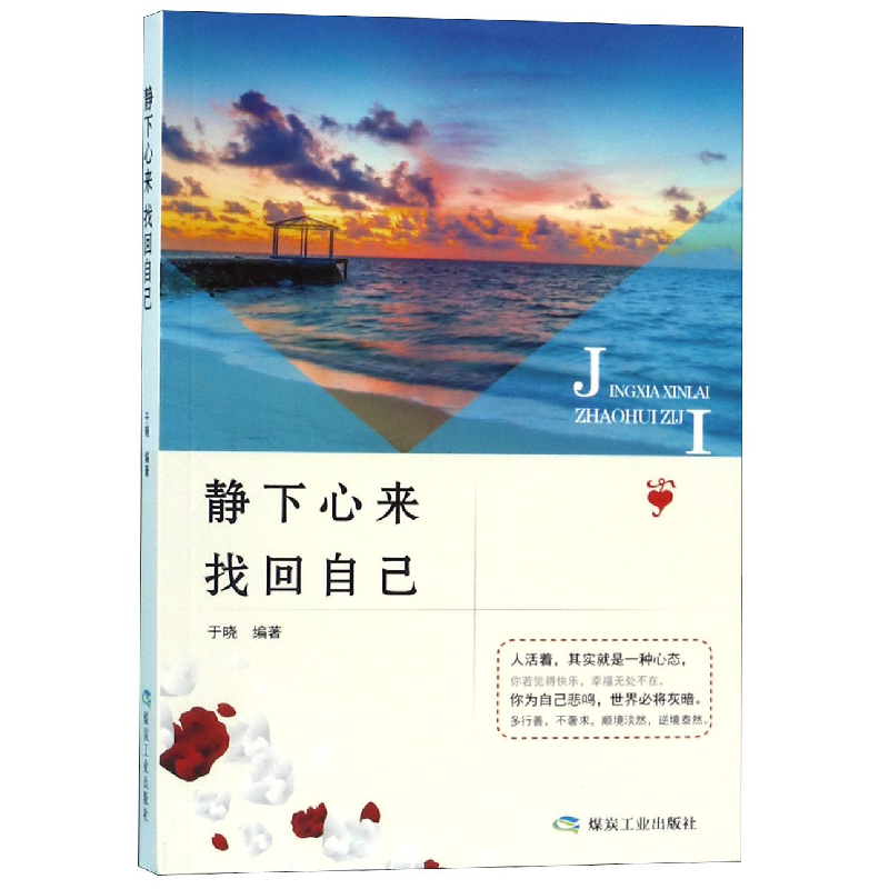 全新正版静下心来找回自己9787502073411应急管理视频