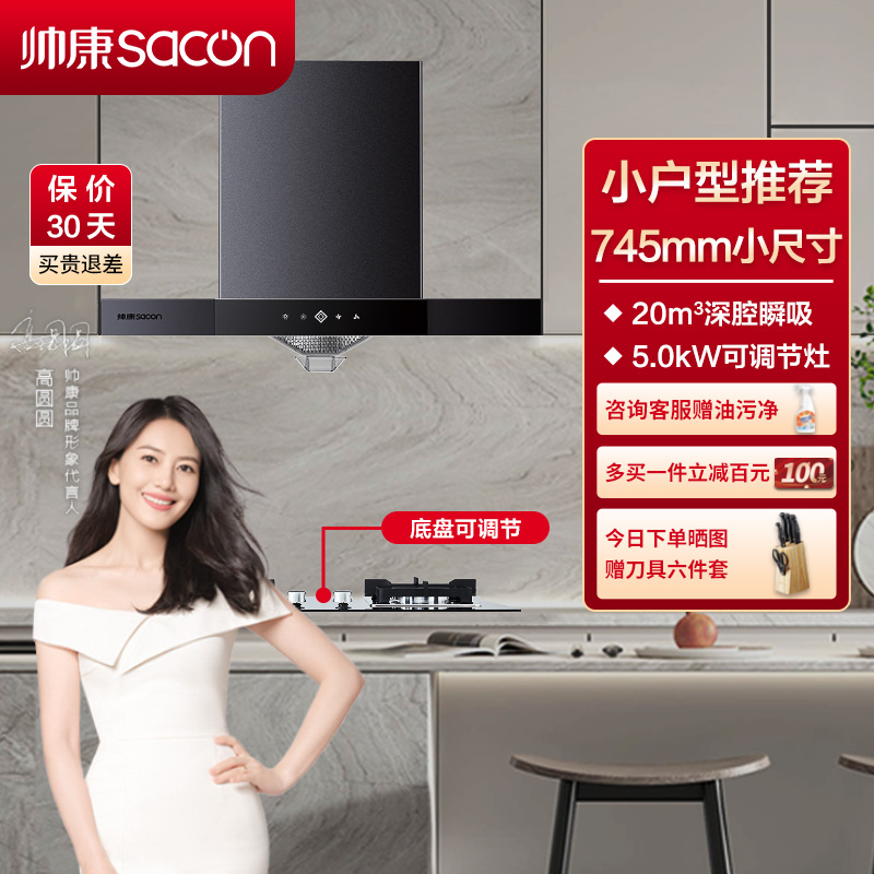 帅康(sacon)烟灶套餐欧式厨电套装吸油烟机煤气灶两件套燃气灶套装抽油烟机灶具套餐天然气T8051DG+LB850B1