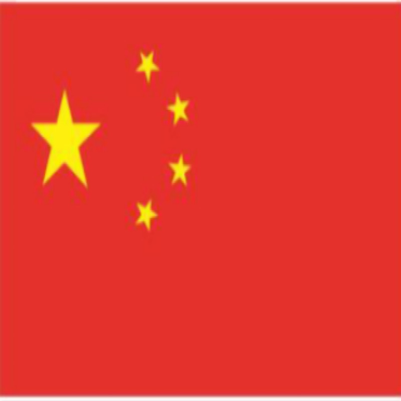定制旗子加旗杆 BWT B2B商品 100起订