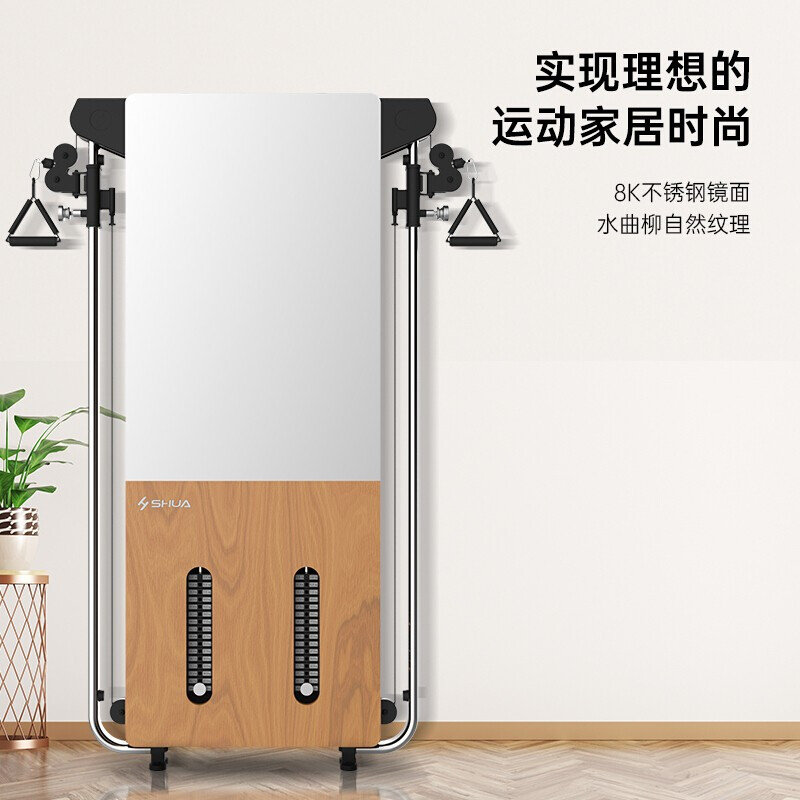 舒华(SHUA)SH-G699 健身镜训练器 壁挂式拉绳训练器家用综合训练器多功能室内健身器材高清大图