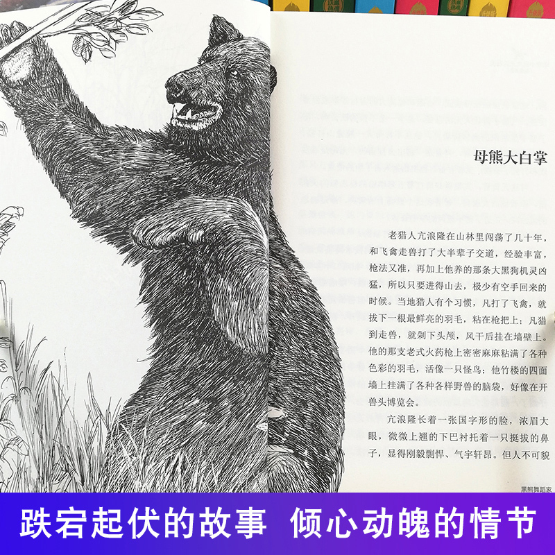 黑熊舞蹈家 [正版]沈石溪动物小说大王品藏书系全集十大经典狼王梦后一头战象狼国女王斑羚飞渡红飘带狮王第七条猎狗白象家族精