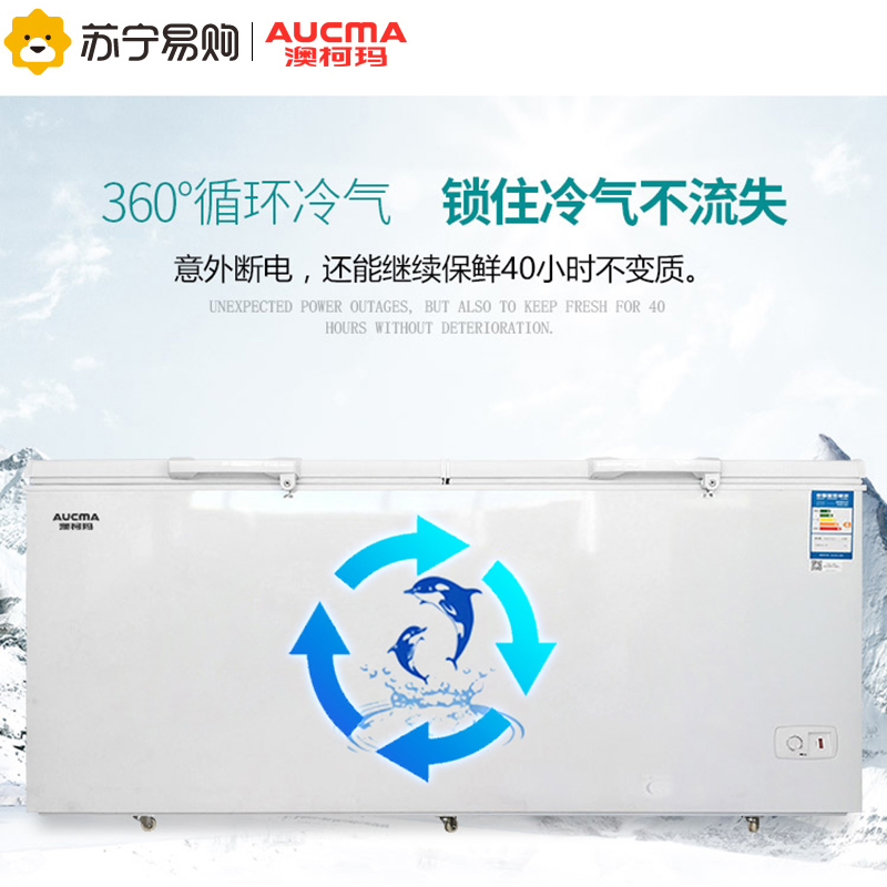 澳柯玛(Aucma) BC/BD-730 730升 大冷柜冰柜 卧式 商用 大容量 单温 冷藏冷冻 双开门高清大图
