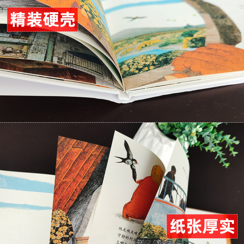 噢!中草药 [正版]大熊的信箱 彭学军文 马鹏浩 图 2年级祖庆说百班千人暑假小学生必读课外书阅读书目书籍 贵州人民出版