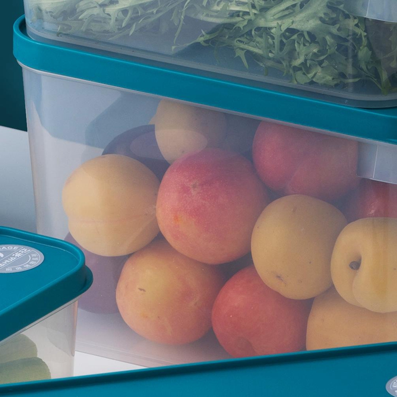 茶花 芮格保鲜盒5100 5.1L/个高清大图