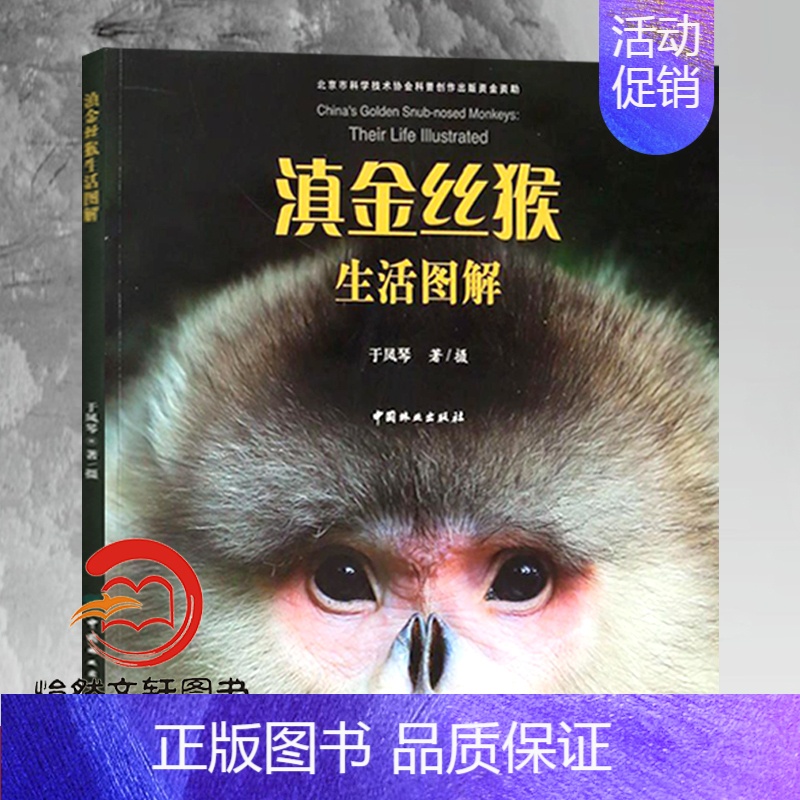 【正版】滇金丝猴生活图解 9496 北京市科协科普创作出版资金资助项目 灵长类动物人类近亲中国林业出版社直营书