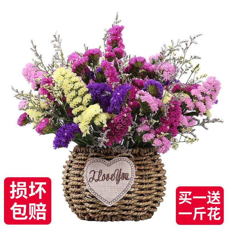 Abay花瓶 花艺云南勿忘我干花花束真花花卉家庭家居装饰摆设鲜花插花非仿真假花 黄色勿忘我加情人草 10支 价格图片品牌报价 苏宁易购汇华家居日用 专营店