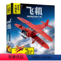【正版】浪花朵朵童书 动手做！大模型 飞机 超大立体拼插模型 益智游戏手游模浪