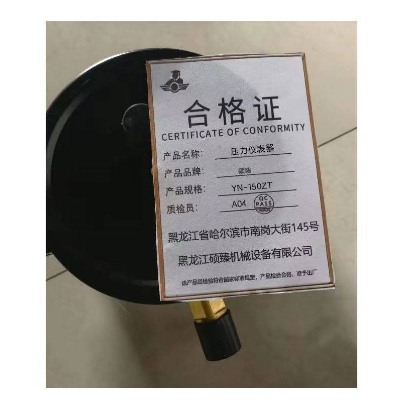 硕臻 压力仪表器 YN-150ZT 块高清大图