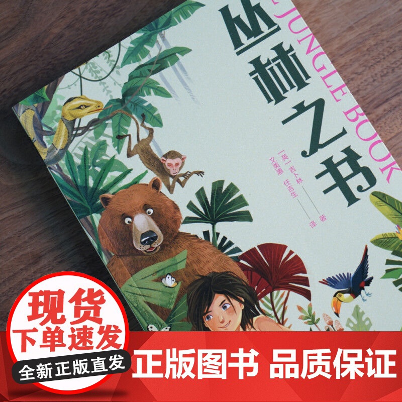 丛林之书 英吉卜林 天津人民出版社 外国儿童文学 文分级阅读K4 四年级9-10岁适读 亲近母语系列儿童文学 新华正版高清大图