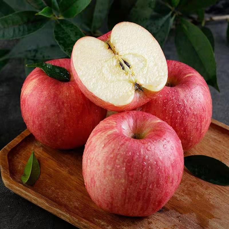 鲜贝达 洛川红富士苹果5斤大果[单果80-85mm]