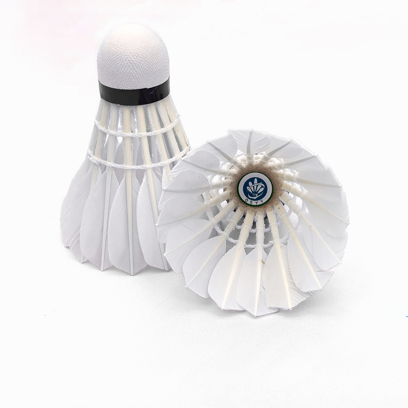 虔羽羽毛球05YY 桶