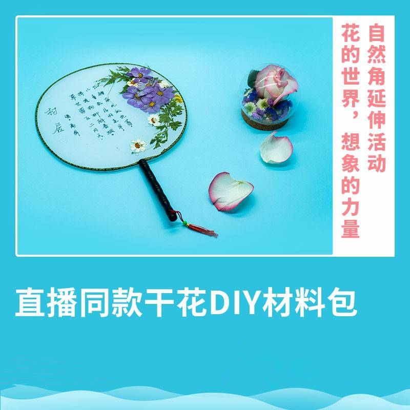 【预售】明鼎教育-花草创意DIY材料包（干花团扇） 1课时 手工课