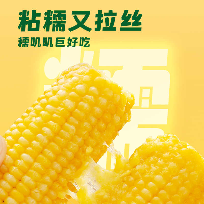 十月稻田黄糯玉米 3.52斤(220g*8根) 东北玉米棒甜糯低脂新鲜真空装早餐苞米高清大图