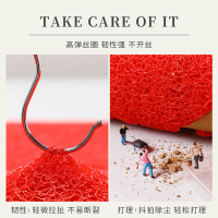 进门地垫红色出入平安门垫丝圈防滑脚垫入户门口地毯乔迁喜庆垫子