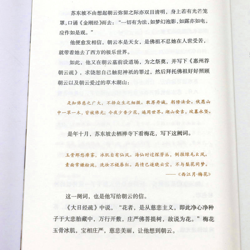 [正版]五册李白传+杜甫传+苏东坡传+王维传+陶渊明传随园散人等著中国唐宋诗词名家唐诗宋词古典诗词鉴赏赏析历史名人传记高清大图