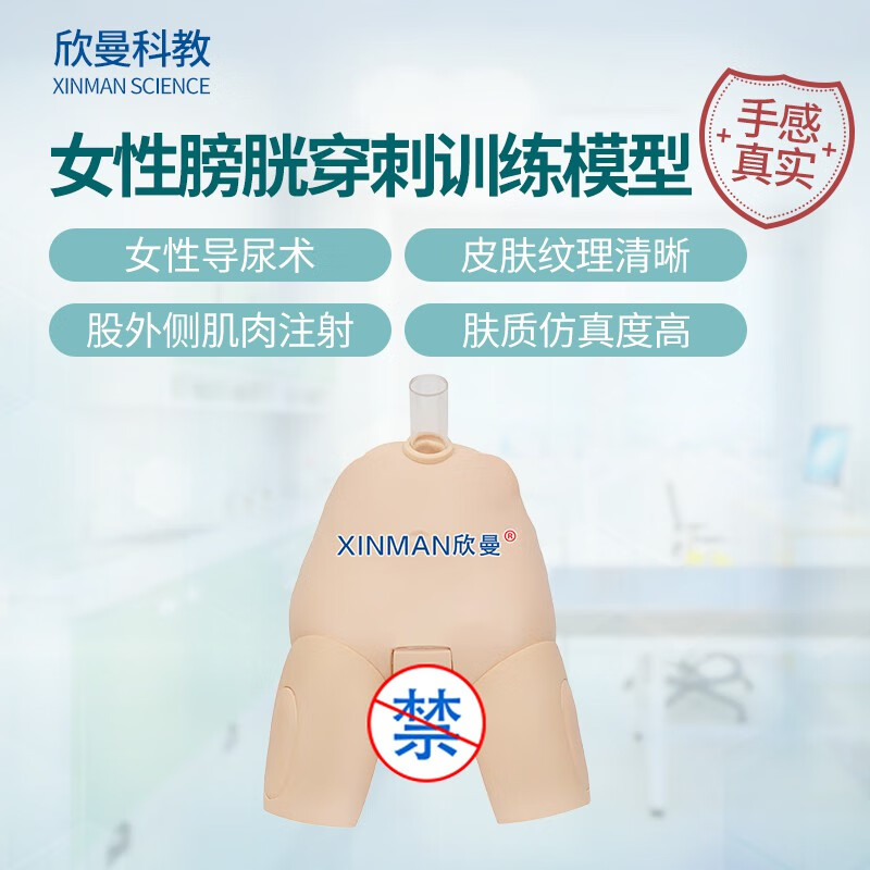 欣曼科教 女性膀胱穿刺操作训练模型 女性导尿模型XM-29N