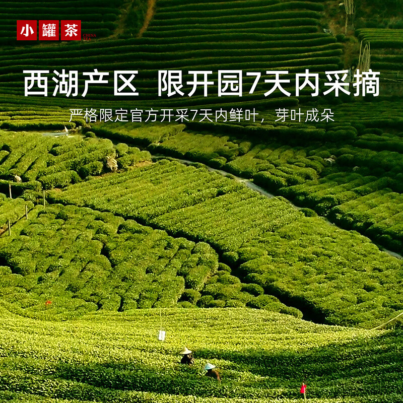 小罐茶大师系列·西湖龙井2026年明前特级龙井茶金罐15罐60g 高档礼盒高清大图