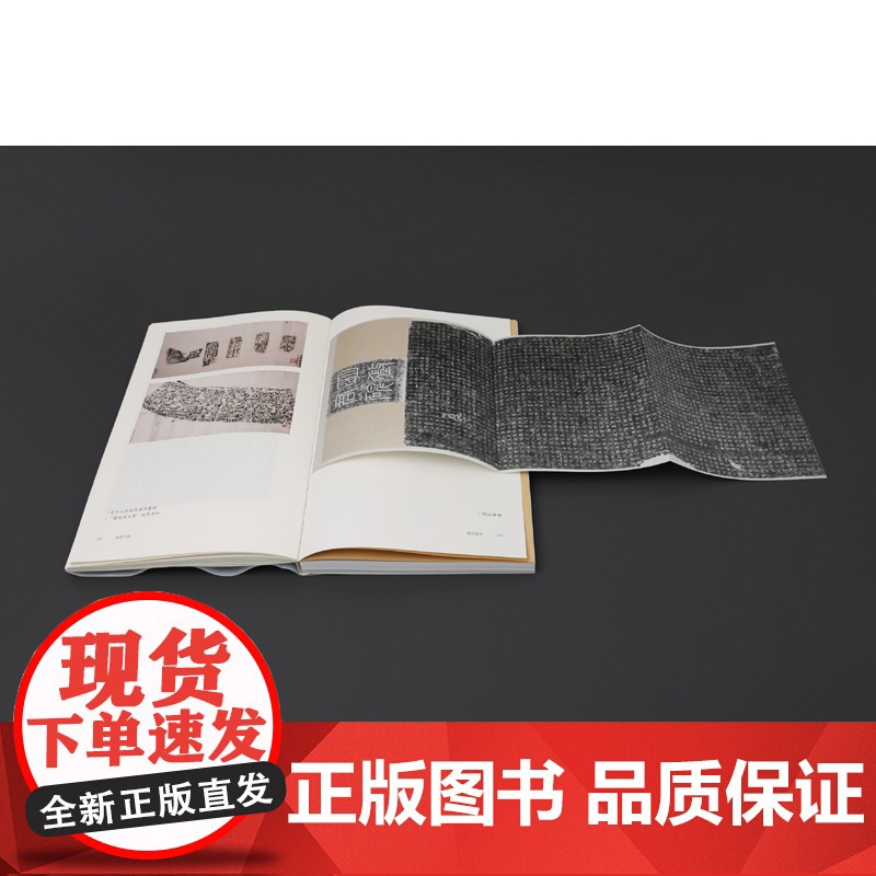 南朝气韵:六朝石刻碑帖讲演录 展现六朝石刻珍稀拓本,详解背后的文学、史学与考古学研究 凤凰出版社店 正版高清大图