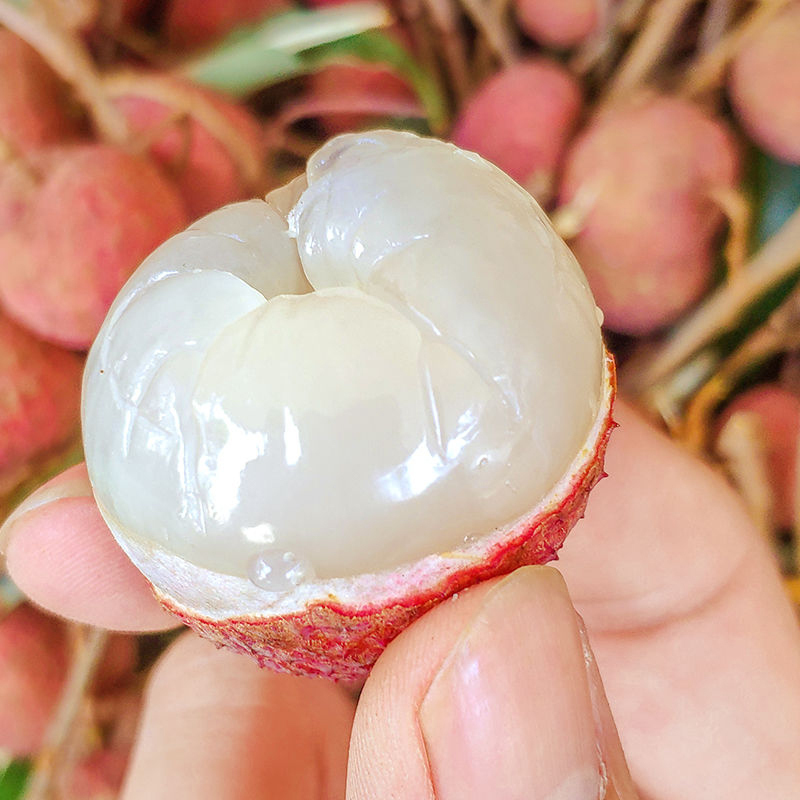 苏鲜生顺丰快递海南新鲜白糖罂荔枝新鲜荔枝热带水果净重283斤精品果