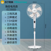 海信(Hisense)电风扇三档风速模式智能定时工业落地扇家用静音台式大风节能省电宿舍立式电扇FLY-AN4002