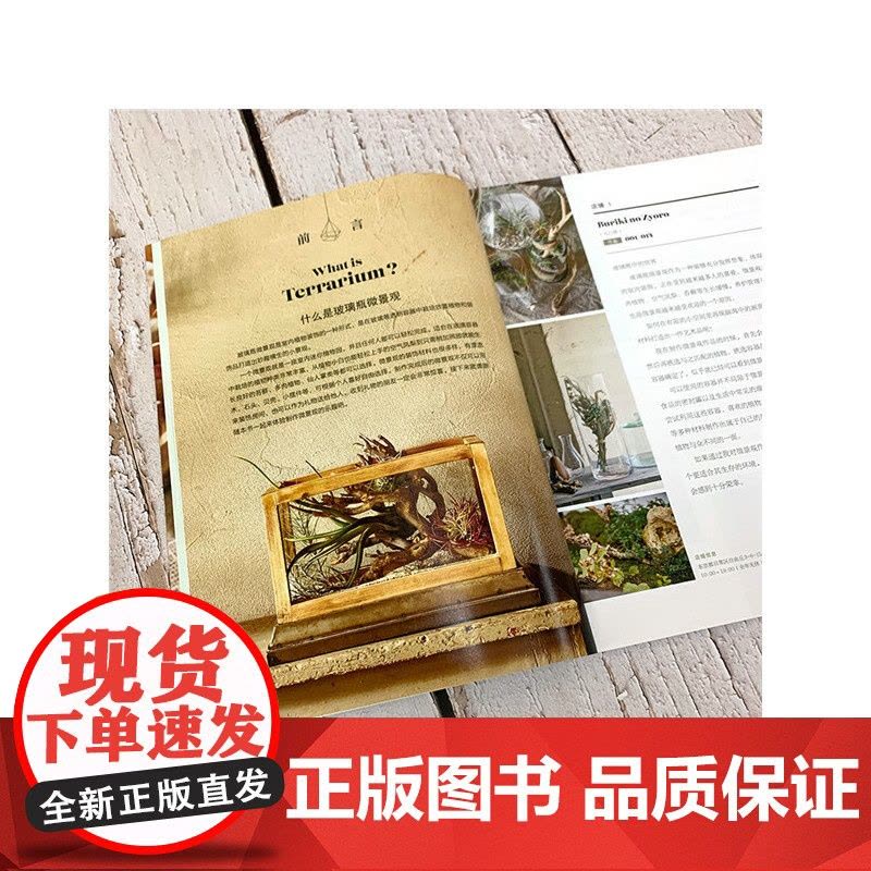 迷你植物园:玻璃瓶微景观制作与养护正版书籍图片