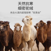 南极人保暖裤女士加绒加厚德发热内穿打底秋裤大码棉毛裤驼绒裤冬