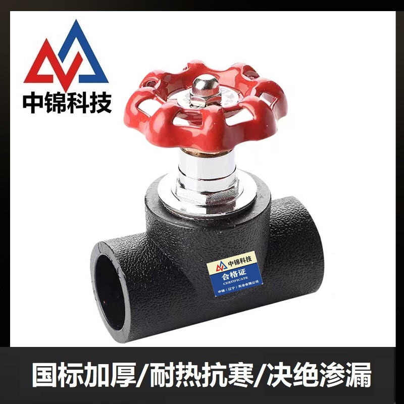 中锦科技 PE截止阀 PE20(4分)(承压1.6Mpa)个高清大图