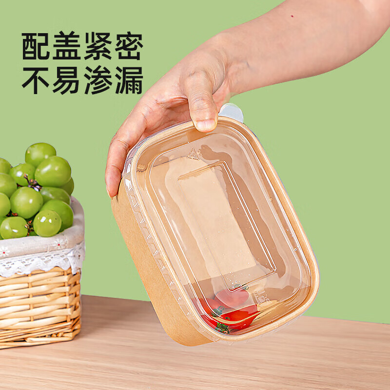 特美居 一次性可降解纸质长方1000型带盖打包盒100套装牛皮色TMJ-2002 BDZSSC高清大图