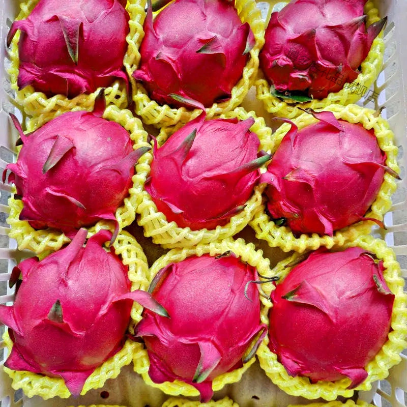 湛航正宗金都一号火龙果红心超甜新鲜应季水果批发价一整箱