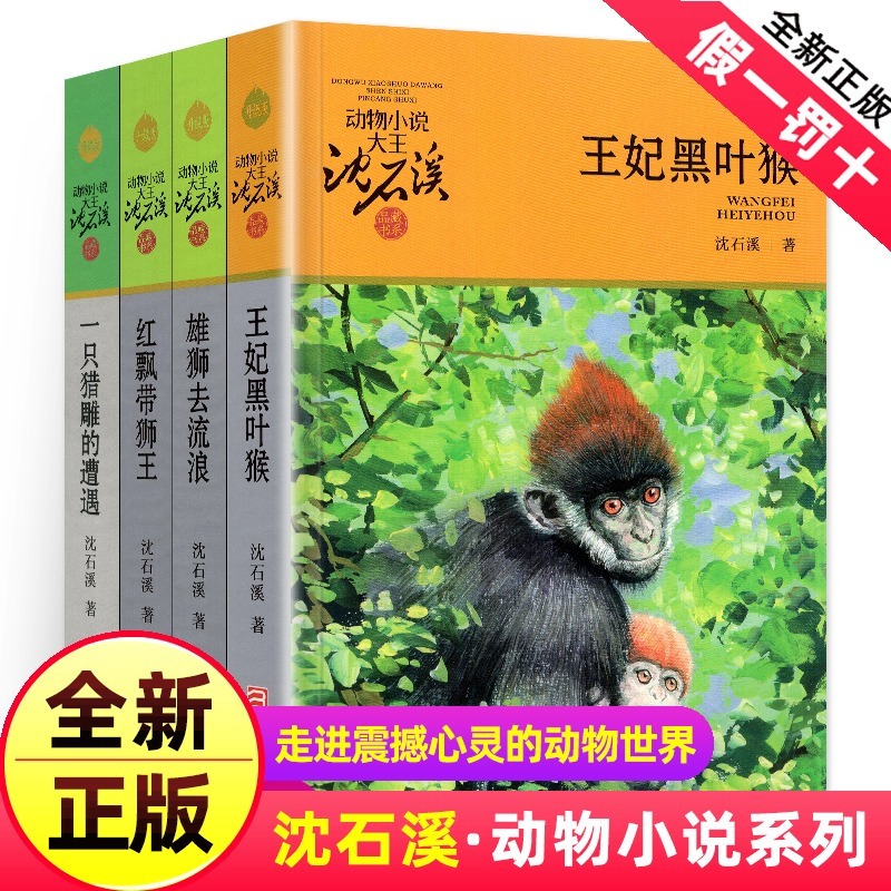 [正版]沈石溪动物小说全集作品全套共4册 王妃黑叶猴 红飘带狮王 雄狮去流浪一只猎雕的遭遇动物小说大王沈石溪品藏书系经