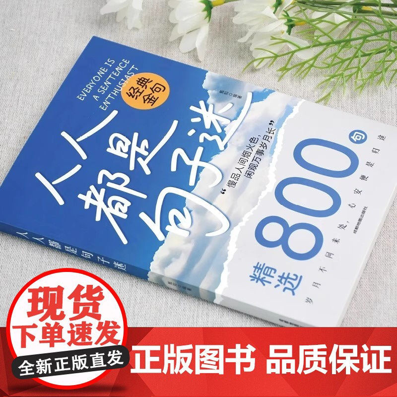 人人都是句子迷正版书籍经典金句精选800句清醒通透的聚宝盆一句话点亮人生一句顶一万句带你走出心灵的迷茫困惑人生启迪哲理励高清大图