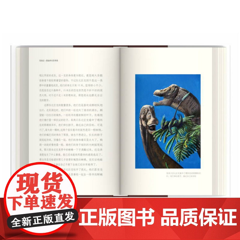 高远的天空传说 恐龙记 杨杨和赵闯科学小说 儿童文学 课外读书少年儿童出版社高清大图