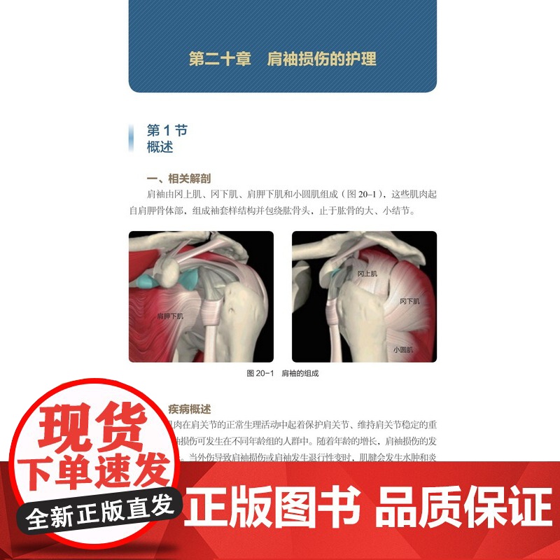 积水潭医院运动损伤护理和康复 包含上下肢常见的24种运动损伤性疾病的护理和康复技术 张爽具有扎实的理论基础和丰富的临床经高清大图