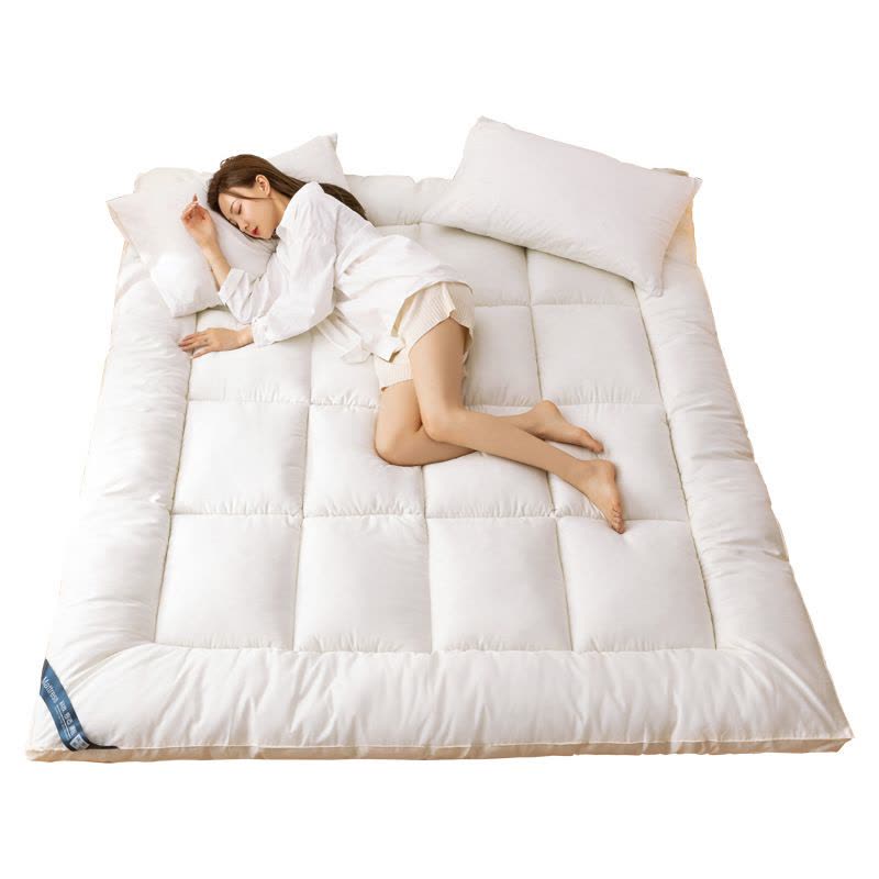 加厚床垫家用软垫榻榻米垫子单人垫褥租房垫被冬季图片