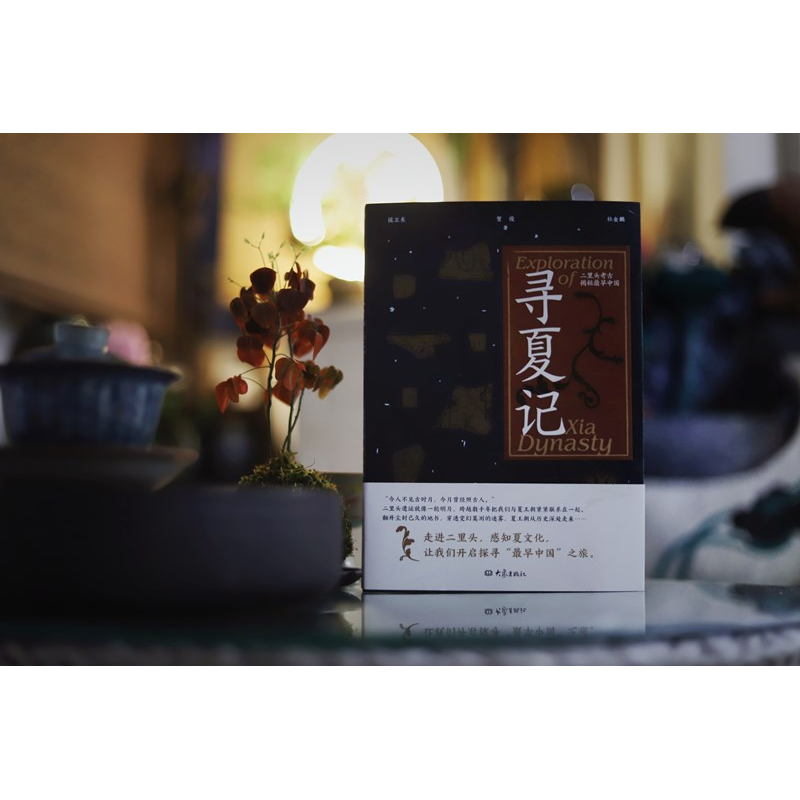 正版新书]寻夏记——二里头考古揭秘最早中国侯卫东、贺俊、杜金高清大图