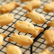 日东福德食鱼形饼干60g 满三件送三件(赠品随机)