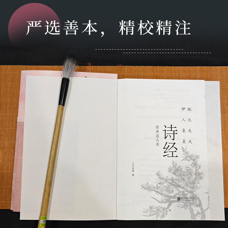 [正版]央视网桃之夭夭 伊人袅袅 诗经原来这么美 一本书饱览 诗经 背后的历史典故 典章制度 民俗文化 山川风物 漫谈高清大图