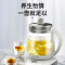 九阳(Joyoung)养生壶煎药壶迷你玻璃花茶壶煮茶器电水壶热水壶烧水壶电热水壶1.5L 白色