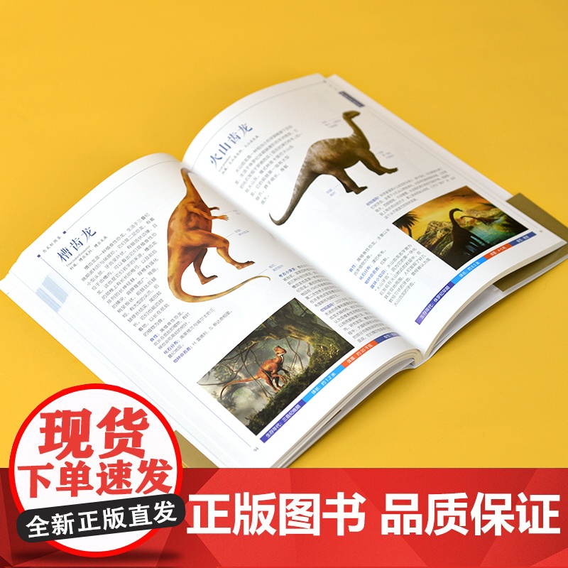 恐龙轻图鉴 精选155种代表性恐龙 96 种蜥臀目恐龙59 种鸟臀目恐龙 500 余幅高清彩图 全方位描述,多角度解析高清大图