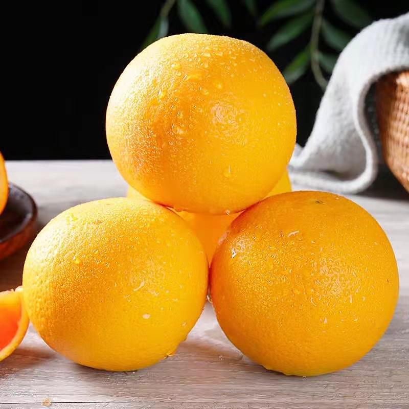 鲜贝达 中华红血橙5斤大果[单果70-75mm]高清大图