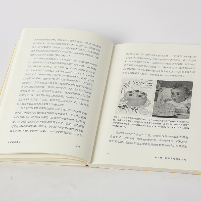 醉染图书了不起的蜜蜂9787521739640高清大图