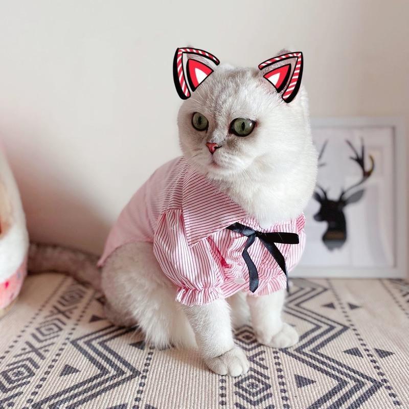 泡泡袖可爱衬衫 粉色 S 猫衣服夏装裙子猫咪狗狗可爱衬衫裙子薄款宠物制服裙水手服狗衣服