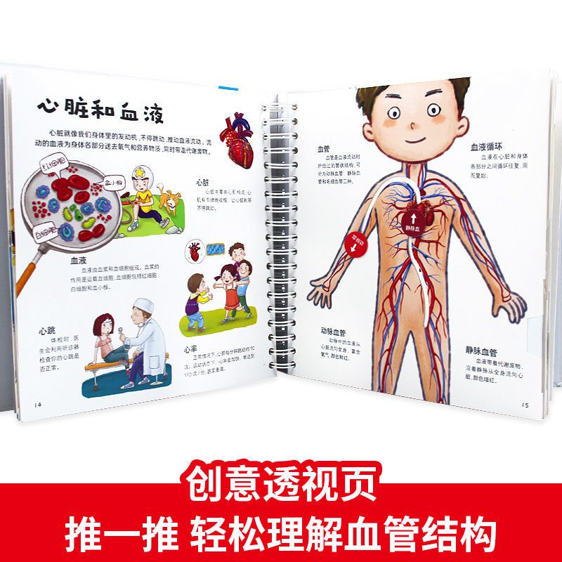 我们的身体立体书 我们的身体3d立体书儿童绘本2-3-4-6岁 互动科普立体翻翻书揭秘身