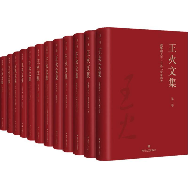 [M]王火文集-9787541146336高清大图