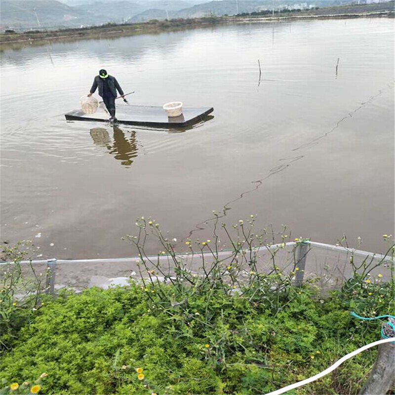 硬浮板水产养殖塘皮排代替竹筏泡沫筏捕鱼小渔船钓鱼浮台平台